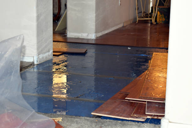 Professional Water Extraction technician working in Troup, TX